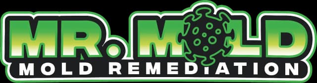 Mr. Mold