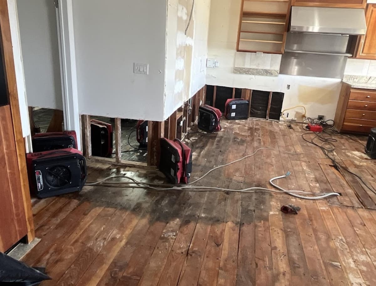 Professional Water Damage Restoration